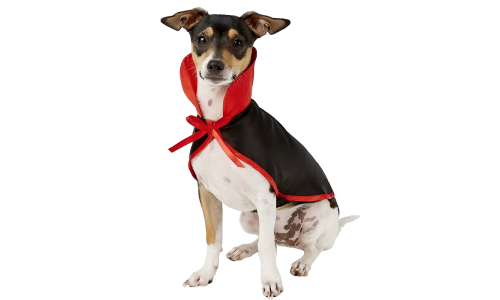 Dog vampire costume in black and red with a high collar and bow tie, 2-in-1 set, lightweight, durable and adjustable.