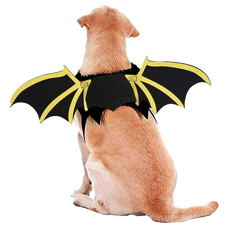Dog Bat Wing Costume for Halloween