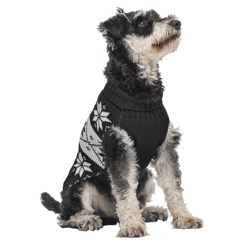 Printed Winter Sweater for Dogs Black winter sweater for dogs with white snowflake pattern, washable, providing warmth and festive style.