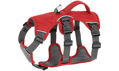 Reflective Waterproof Dog Harness Red waterproof dog harness with adjustable straps, suitable for different types of dogs, with sturdy silver ring.