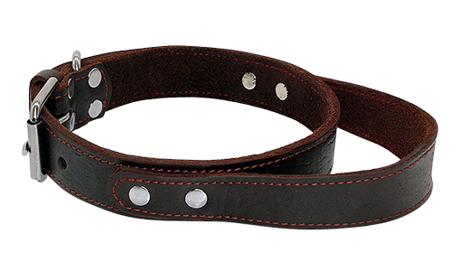 Genuine Leather Dog Collar with Quick Grab Handle Genuine Leather Dog Collar with Quick Grab Handle