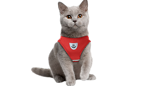 Reflective Cat Harness Vest with Matching Leash Red reflective cat harness vest with a matching leash, practical, includes breathable mesh fabric and a 120 cm long leash.