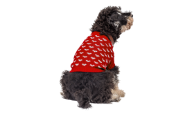Printed Heart Sweater for Dogs Dog wearing a cosy red sweater with white heart patterns, perfect for on-the-go adventures.