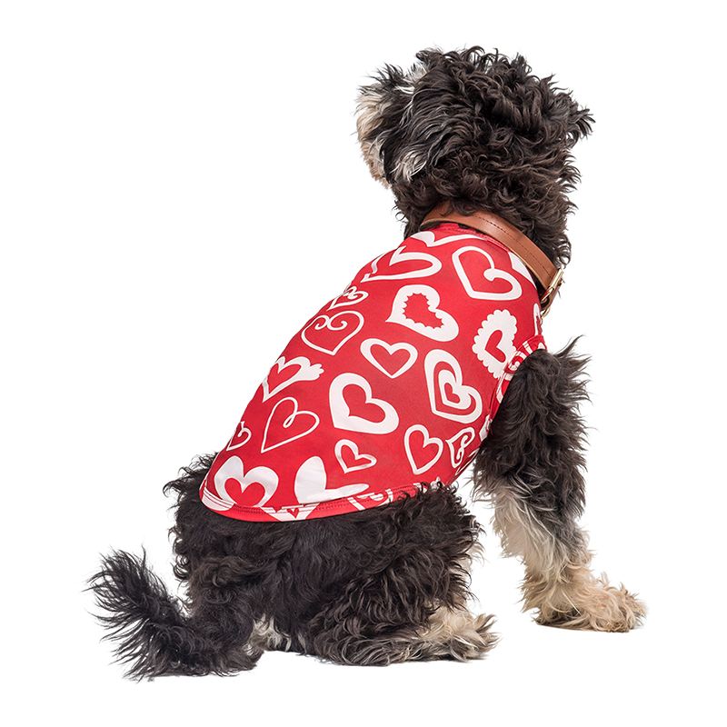 Dog Vest for Valentine's day Pup Outfit Dog wearing a red Valentine's Day-themed vest with red and white heart, designed as a festive and stylish pup outfit.