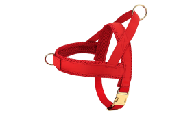 Dog Harness Kit with Collar and Leash Red dog harness kit with matching collar and leash, lightweight, with gold metal buckles and with D-ring.