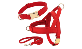 Dog Harness Kit with Collar and Leash Red dog harness kit with matching collar and leash, lightweight, durable and long-lasting, comfortable and secure fit.