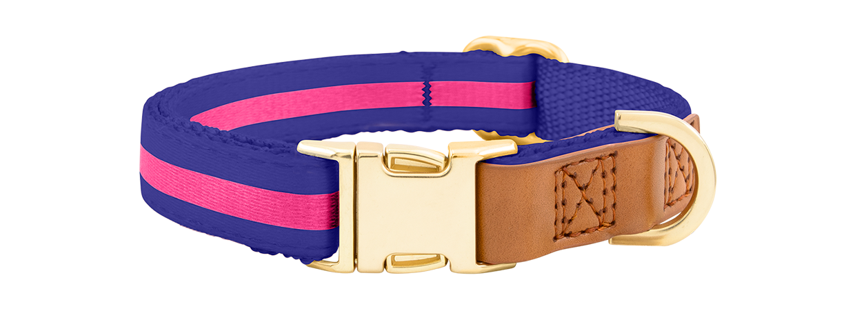 Dog Collar with Buckle Blue dog collar with adjustable gold metal buckle, 33-55cm in length and 2cm wide, with D-ring for leash attachment.
