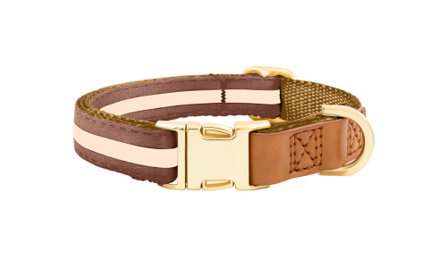 Brown dog collar with adjustable gold metal buckle, 27-40cm in length and 1.5cm wide, with D-ring for leash attachment.