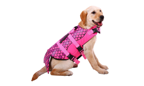 Mermaid Dog Life Jacket Mermaid-themed dog life jacket in pink with scale pattern, for flotation. Suitable for different types of dogs.