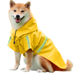 Shiba Inu in a waterproof yellow raincoat with reflective strips, easy on and off straps, for rainy walks.