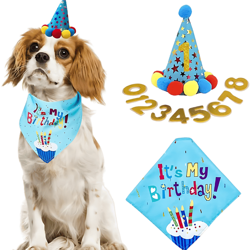 Dog Birthday Bandana Set Blue dog birthday celebration set featuring a colourful 'It's My Birthday!' bandana, soft and durable.