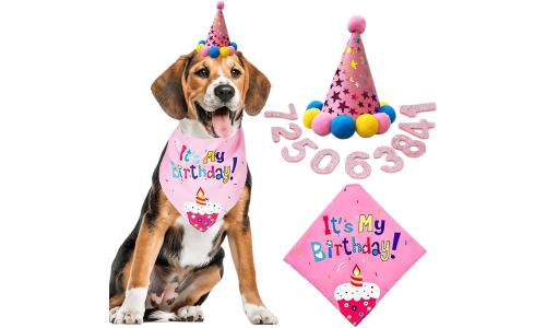 Pink dog birthday celebration set featuring a colourful 'It's My Birthday!' bandana, soft and durable.