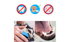 360º Silicone Finger Toothbrush for Dogs 360º Silicone Finger Toothbrush for Dogs