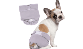Premium Washable Dog Diaper for Female Dogs Premium Washable Dog Diaper for Female Dogs