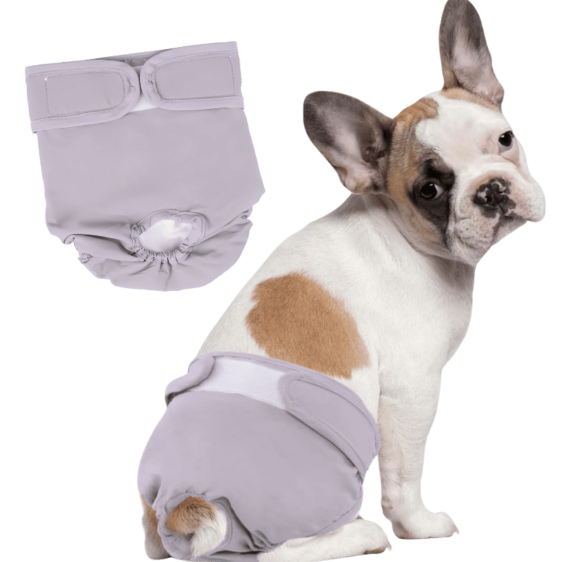 Premium Washable Dog Diaper for Female Dogs