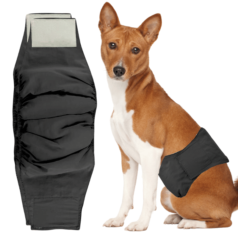 Premium Washable Dog Diaper for Male Dogs