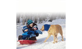 Anti-Anxiety Dog Snood for Noise, Ear, and Winter Protection Anti-Anxiety Dog Snood for Noise, Ear, and Winter Protection