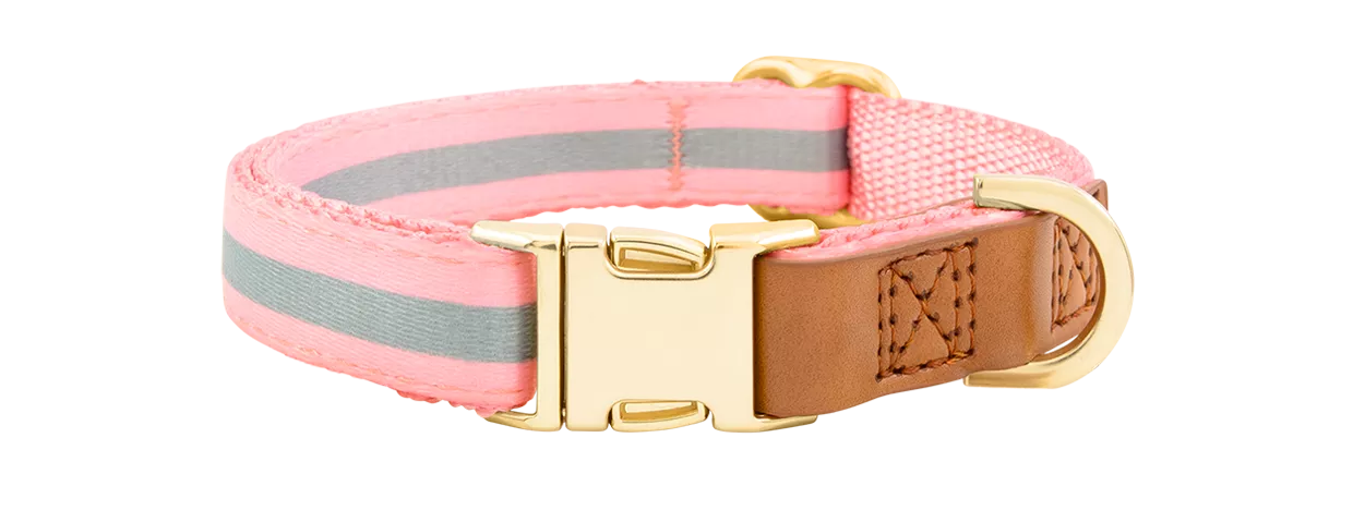 Dog Collar with Engraved Gold Buckle Light pink dog collar with gold metal buckle for dog name engraving, 27-40cm in length and 1.5cm wide, D-ring for attachment.