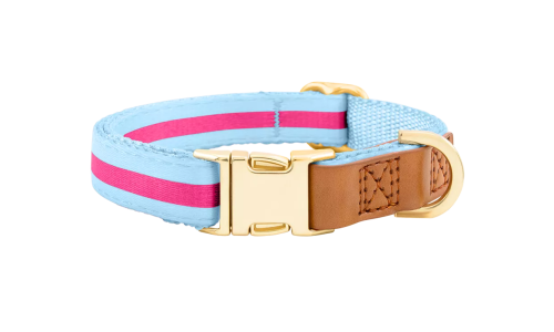 Light blue dog collar with gold metal buckle for dog name engraving, 27-40cm in length and 1.5cm wide, D-ring for attachment.