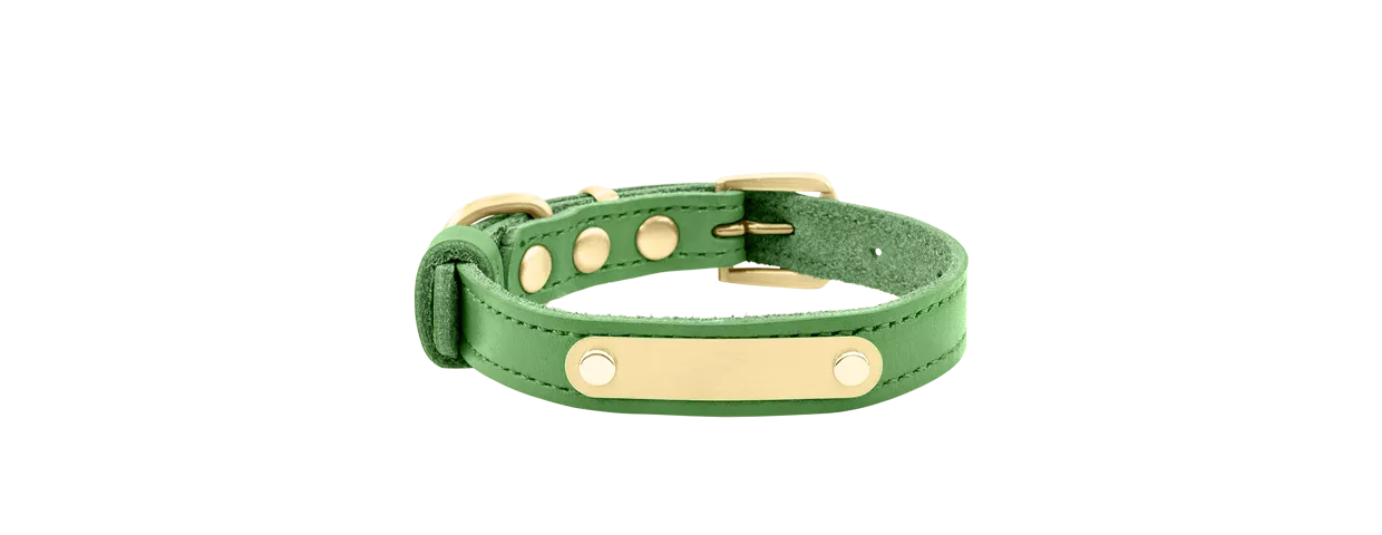 Luxury Genuine Leather Engraved Dog Collar Mydogtags.ie