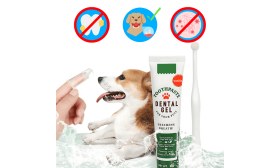 Complete Dog Oral Care Set: Toothbrush, 2 Finger Brushes & Vanilla Toothpaste Complete Dog Oral Care Set: Toothbrush, 2 Finger Brushes & Vanilla Toothpaste