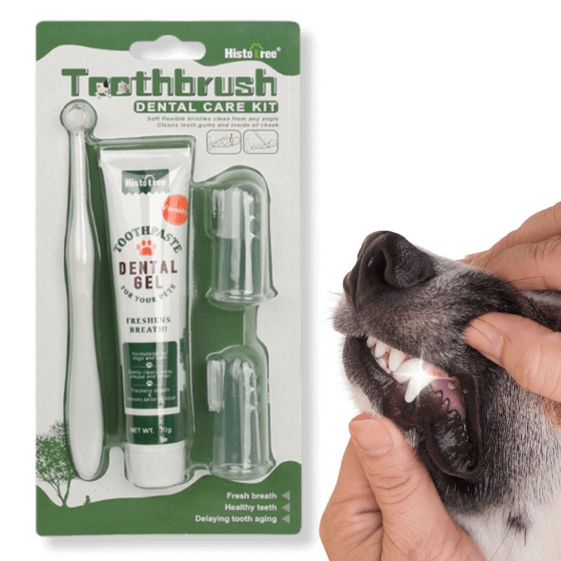 Complete Dog Oral Care Set: Toothbrush, 2 Finger Brushes & Vanilla Toothpaste