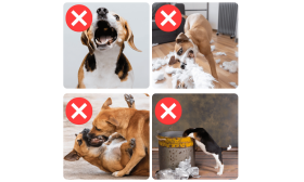 Adjustable Reflective Dog Muzzle - Breathable & Comfortable