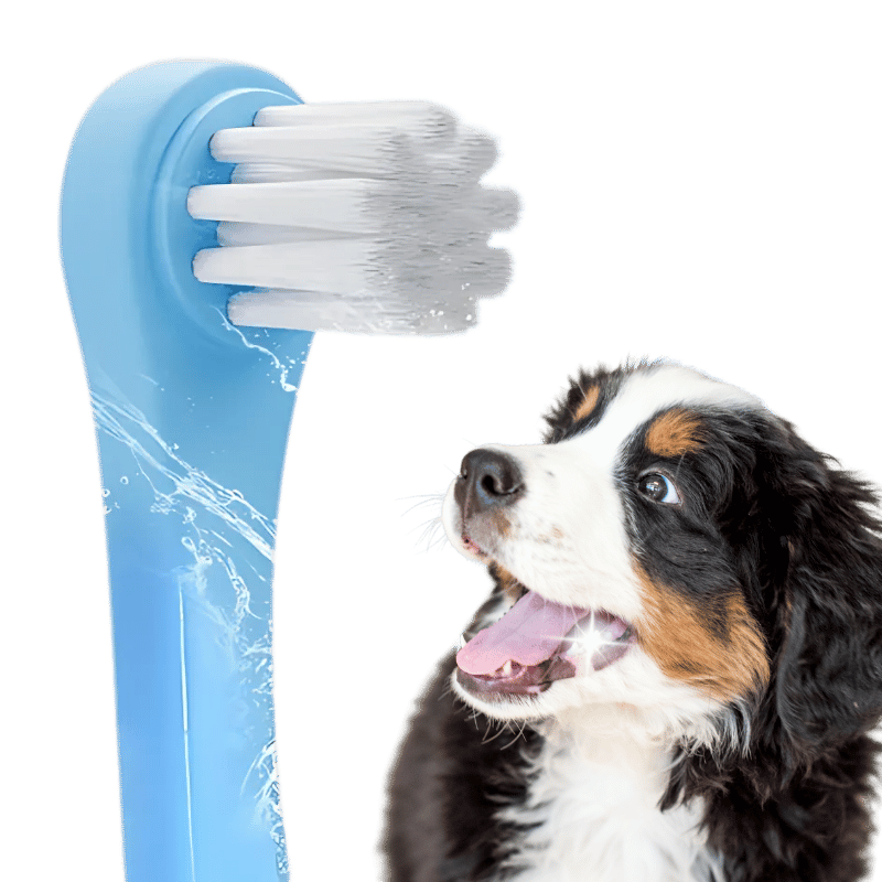 Gentle Clean Dental Toothbrush for Dogs and Cats with Soft Nylon Bristles