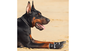 360° Reflective Safety Dog Shoes - Waterproof & Anti-Slip Paw Protection Dog Boot 360° Reflective Safety Dog Shoes - Waterproof & Anti-Slip Paw Protection Dog Boot