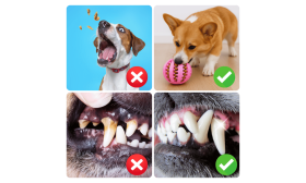 Interactive Dog Treat Dispenser Ball – Rubber Chew Dog Toy for Enrichment Interactive Dog Treat Dispenser Ball – Rubber Chew Dog Toy for Enrichment