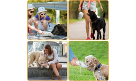 Collapsible Dog Water Bottle 550ml - Food Grade Silicone Pet Water Travel Bowl Collapsible Dog Water Bottle 550ml - Food Grade Silicone Pet Water Travel Bowl