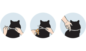 Natural Flea and Tick Collar For Cat Step-by-step application of a natural flea and tick collar for cat, easy adjustment and trimming for a secure fit.