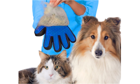 Dog & Cat Grooming Glove Person holding the blue grooming glove next to a dog and cat, showing the glove's use for pet grooming.
