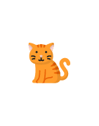 Cat Accessories - Mydogtags.ie
